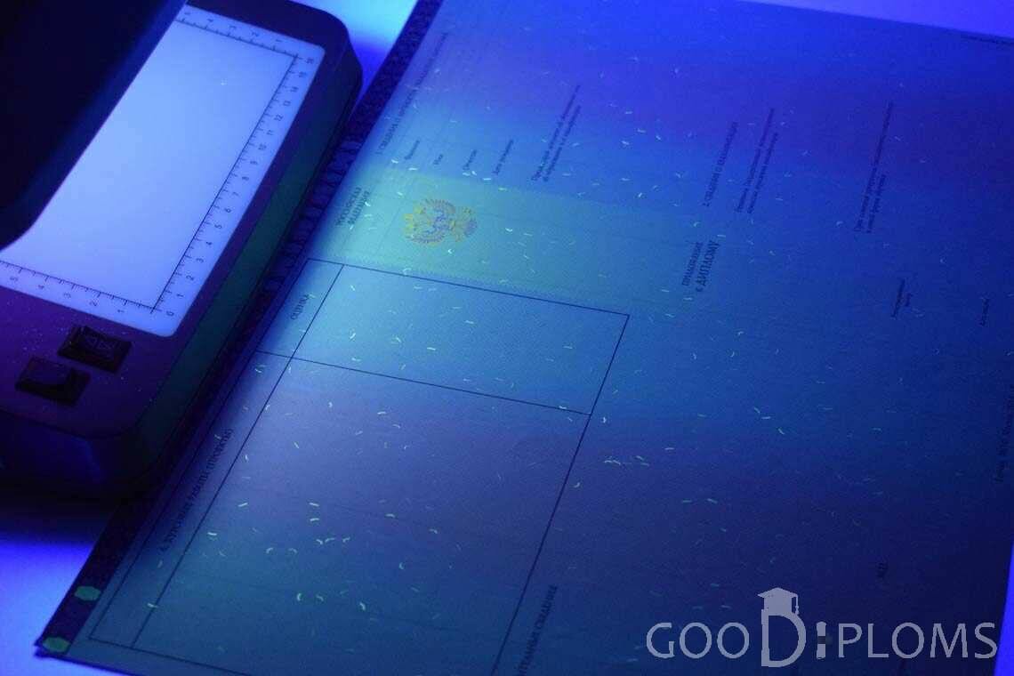 Приложение к Диплому Бакалавра с Отличием в Ультрафиолете период c 2013 по 2023 год - Москву