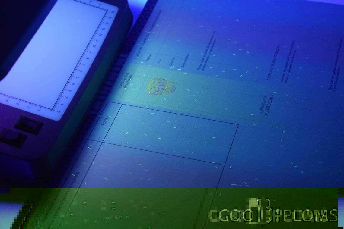 Приложение к Диплому о Высшем Образовании с Отличием в Ультрафиолете - Москву